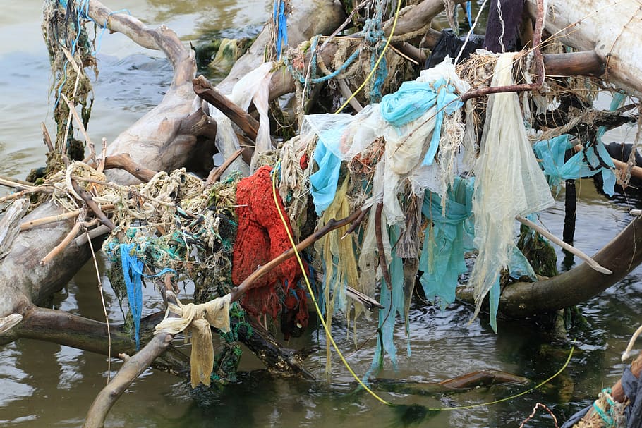 plásticos, contaminación