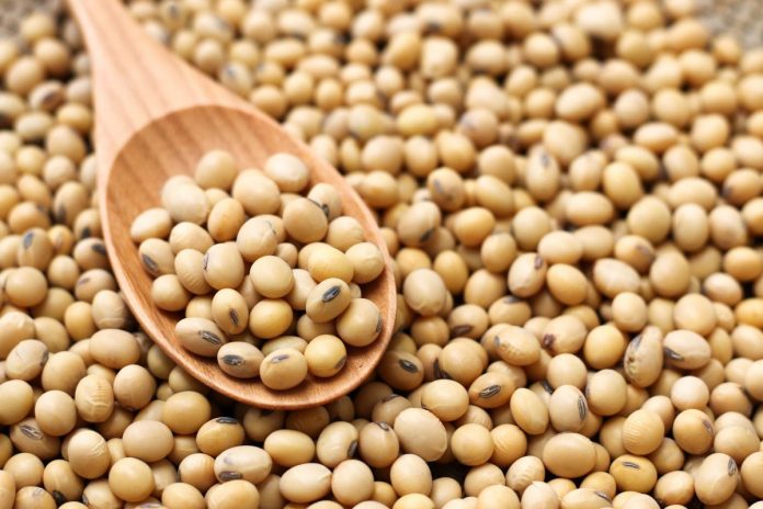 Dieta de la soja: cómo adelgazar varios kilos con el producto de moda