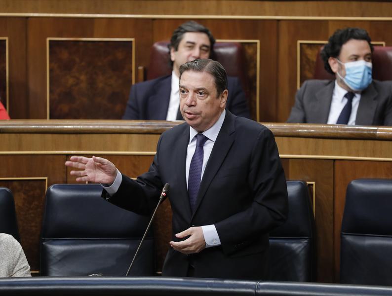Planas: Agricultura tiene unos Presupuestos potentes