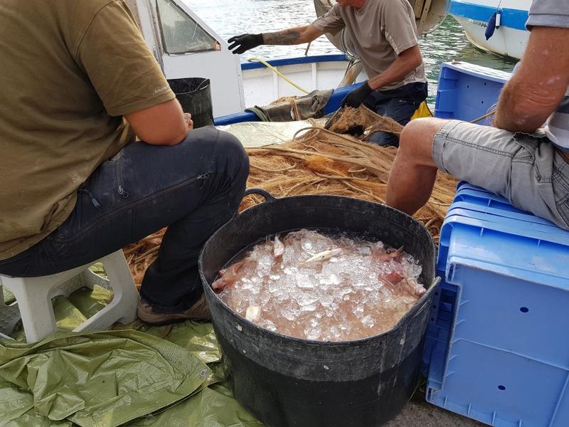 Los pescadores del Mediterráneo rechazan la reducción del esfuerzo de arrastre