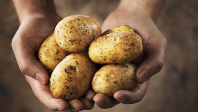 Patatas cáncer