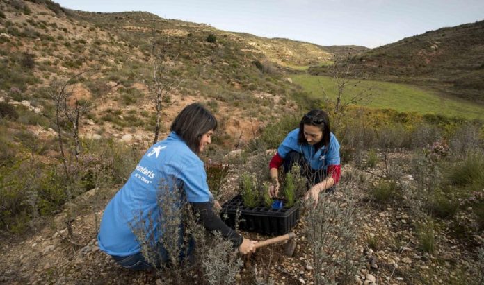 Voluntarios de Caixabank