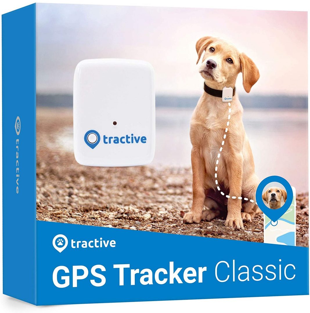 GPS para perros