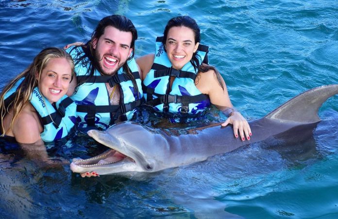 nadar con delfines en Cancún