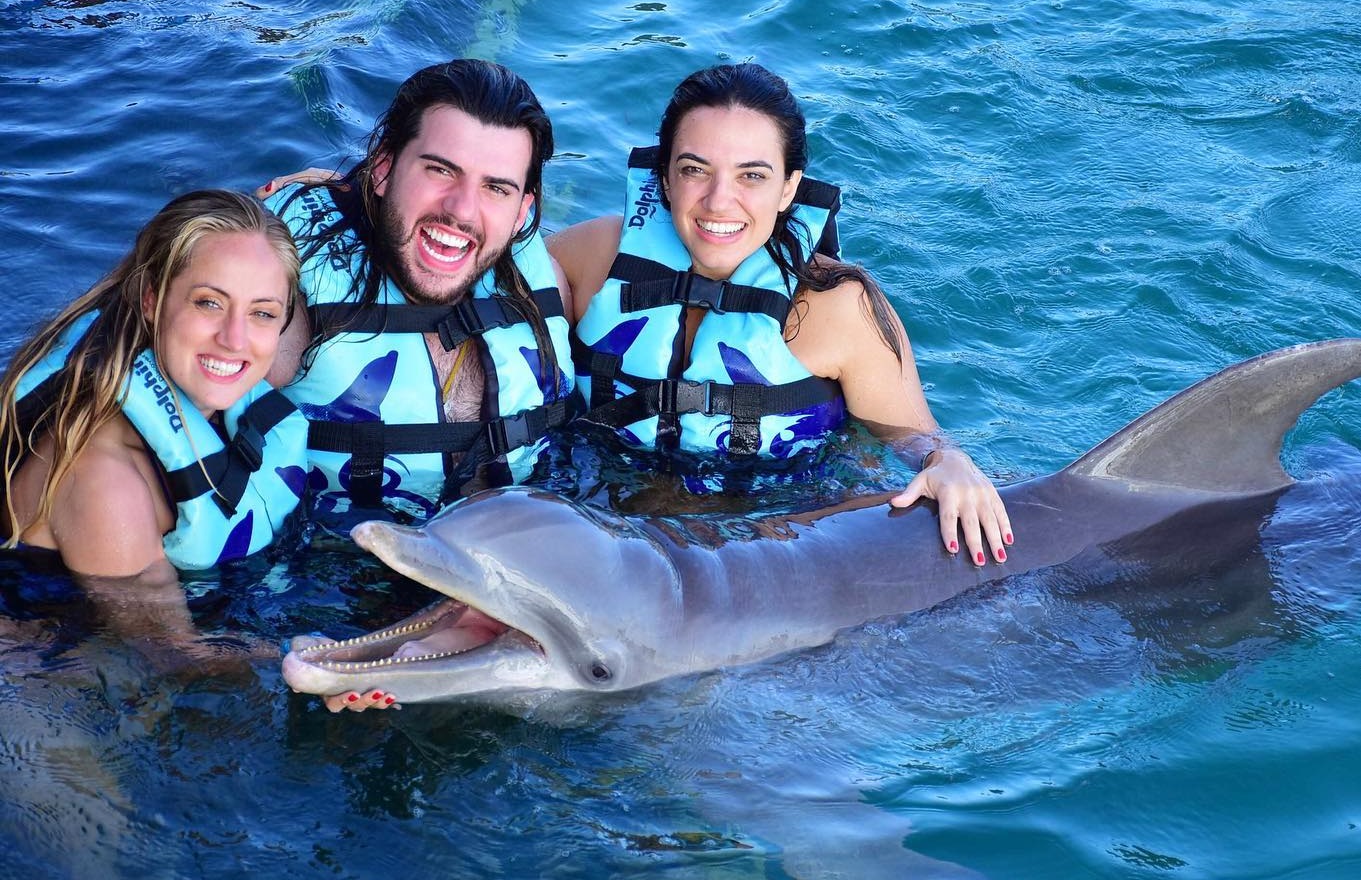 Lugares para nadar con delfines en Cancún