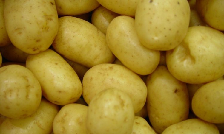 patatas