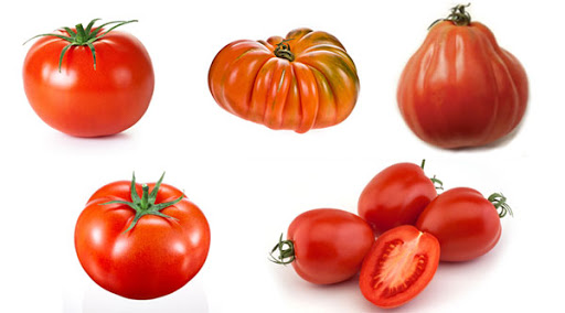 tipos de tomate