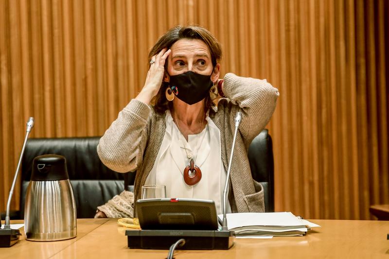El Gobierno abre a consulta una nueva línea de ayudas para la transición ecológica