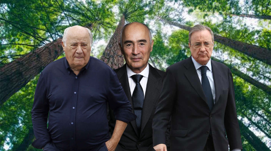Amancio Ortega reta a Florentino y los del Pino en el negocio de las maderas nobles