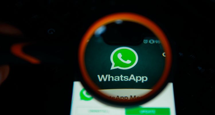 Whatsapp privacidad Signal, Telegram