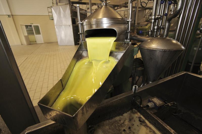 La producción de aceite de oliva rondará 1,4 millones de toneladas