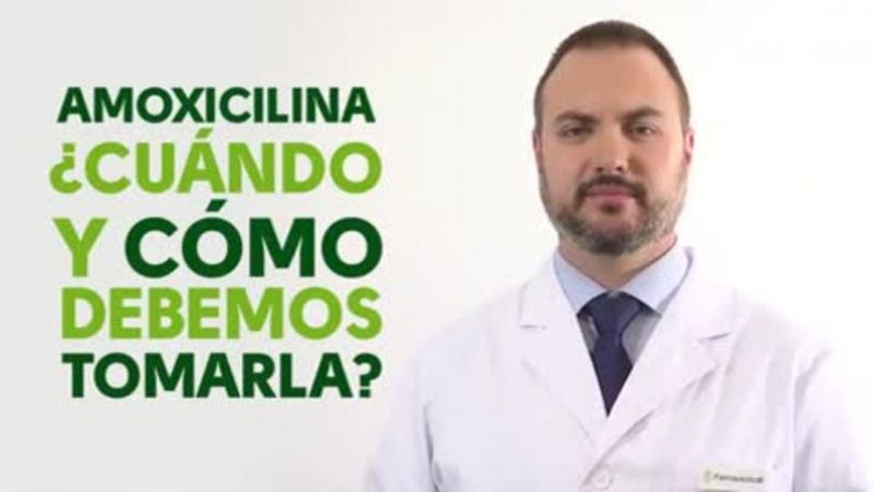 ¿Cuándo y cómo habría que tomar la amoxicilina?