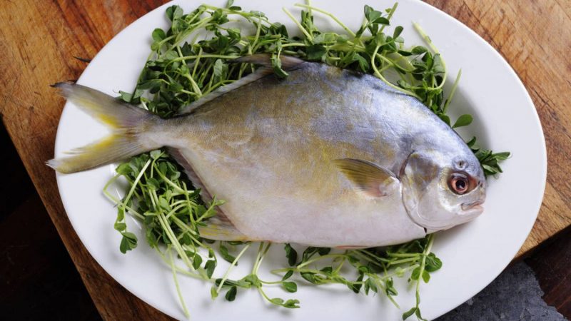 Los 7 pescados que te aportarán la vitamina D que te falta 26 Merca2.es La palometa, uno de los pescados que ofrece vitamina D