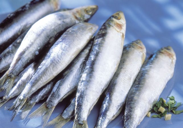 Las sardinas Merca2.es