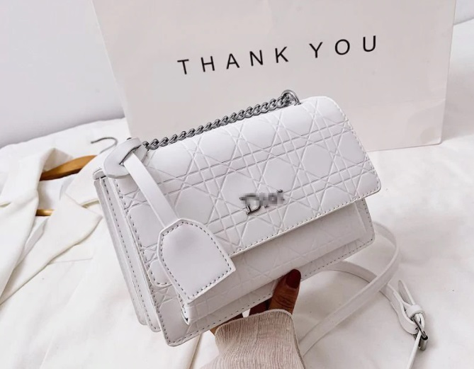 bolso dior