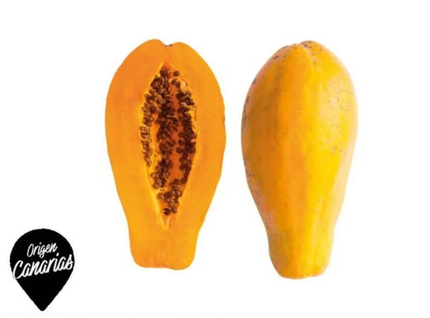 frutas exóticas