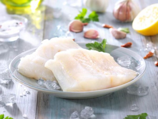 centros de bacalao