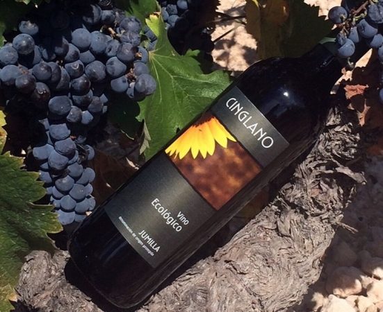 lidl vino cinglano ecologico 2016