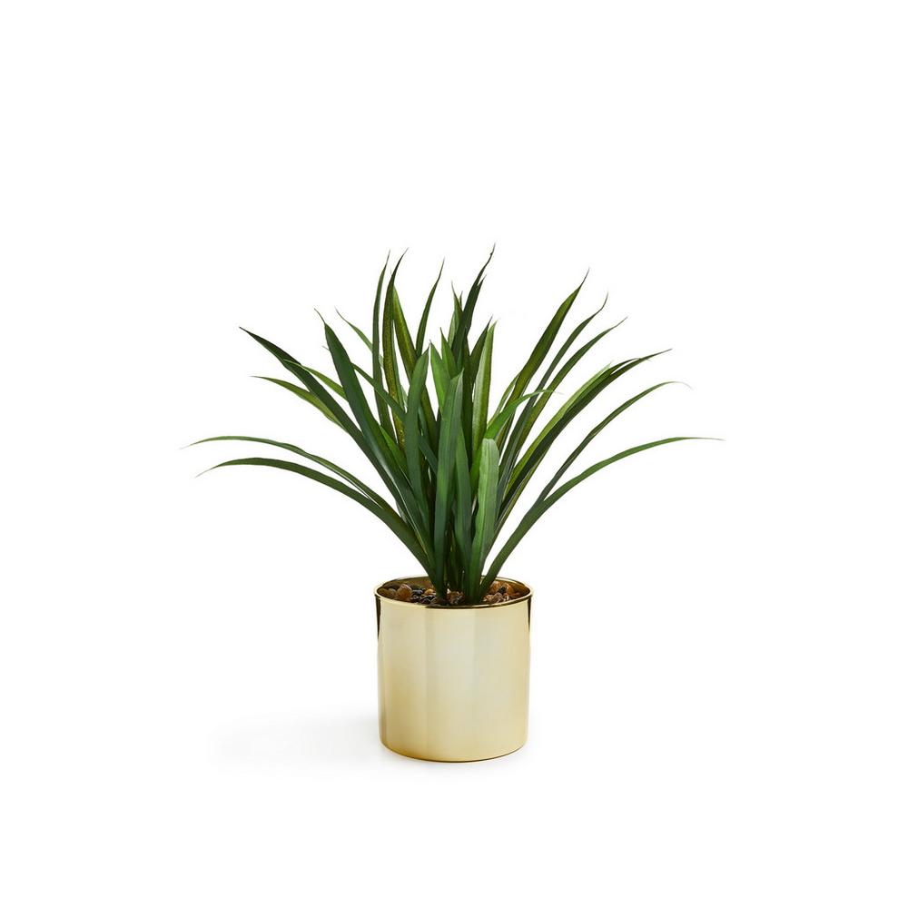 maceta con planta