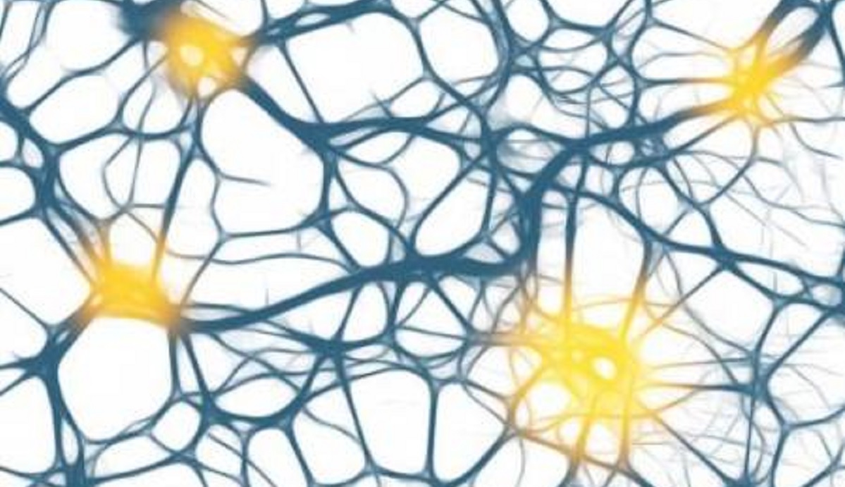 Más de 400.000 personas padecen epilepsia en España