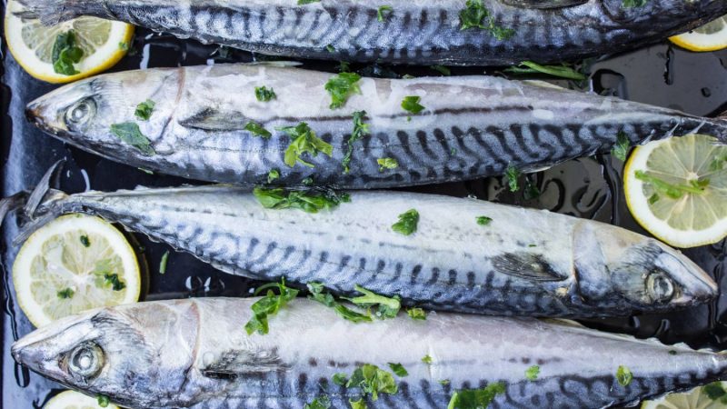 alimentos pescado azul