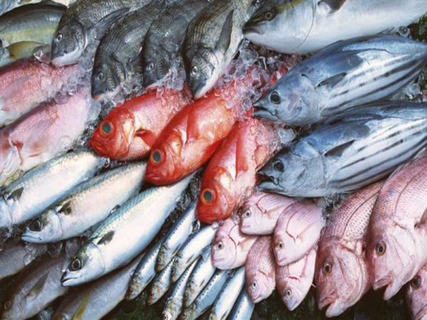 pescados Merca2.es