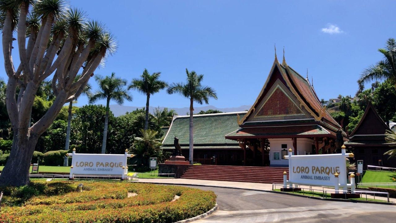 Loro Parque: se cumple un año de un cierre de puertas histórico