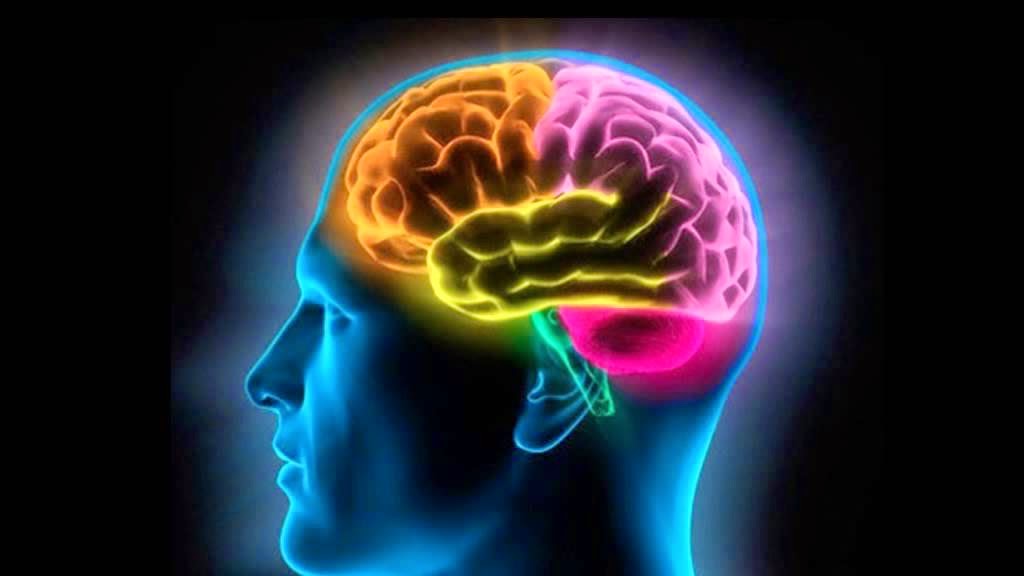 Cómo afecta al cerebro la MDMA