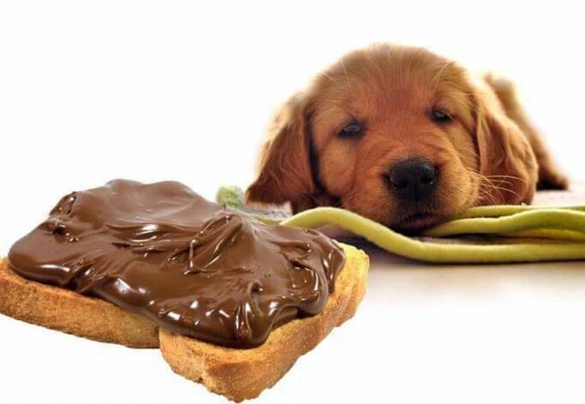 El chocolate