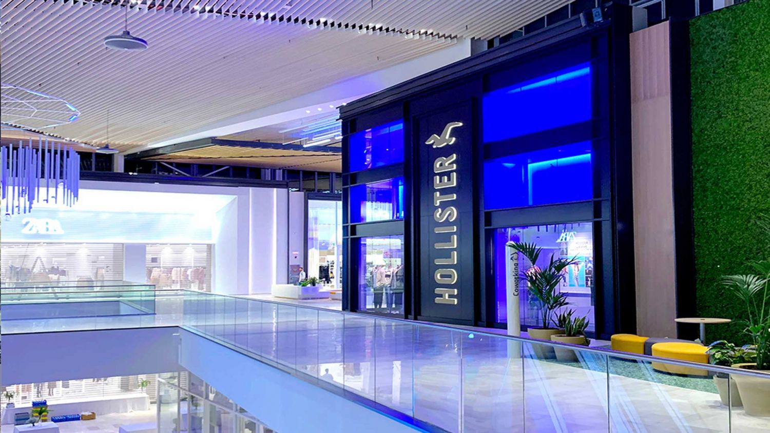 Días de chollos en Hollister: 8 camisetas bien chulas casi regaladas