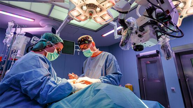 Los mejores médicos de España 2020: Cirugía plástica, estética y reparadora
