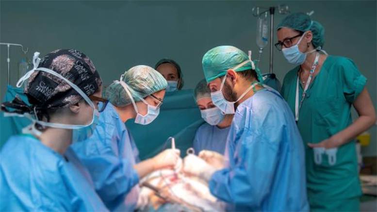 Los mejores médicos de España 2020: Cirugía torácica