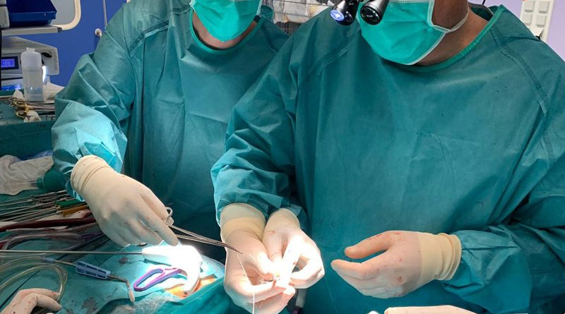 Los mejores médicos de España 2020: Cirugía cardíaca