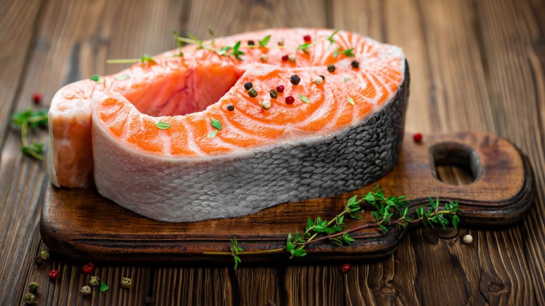 salmon