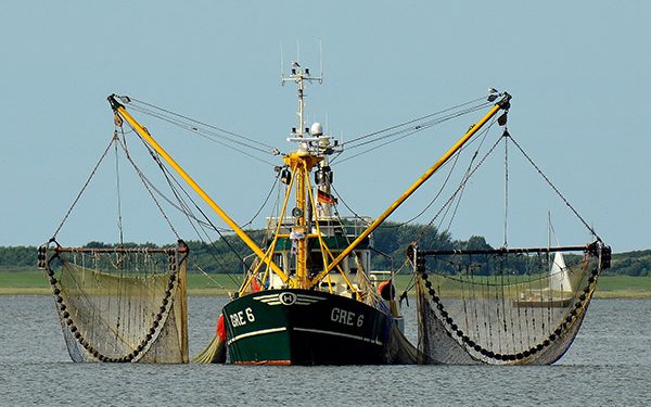 Los 27 negocian unas cuotas pesqueras unilaterales para 2021 ante la falta de acuerdo con Londres