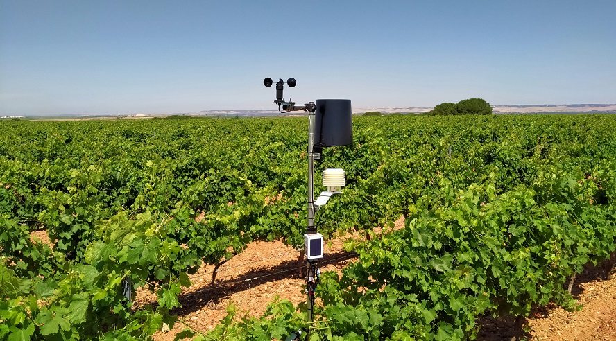 La DO Rueda apuesta por la agricultura de precisión: la app del viñedo