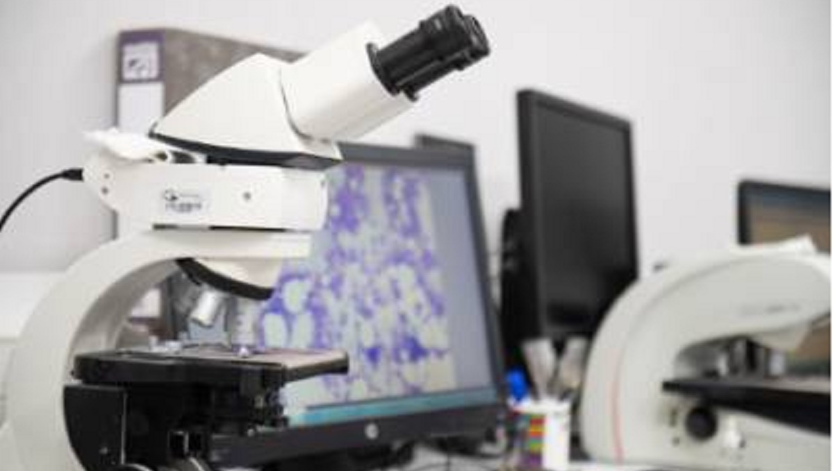 El Instituto de Investigaciones Sanitarias de la Fundación Jiménez Díaz (IIS-FJD), referente nacional en el estudio de las enfermedades raras