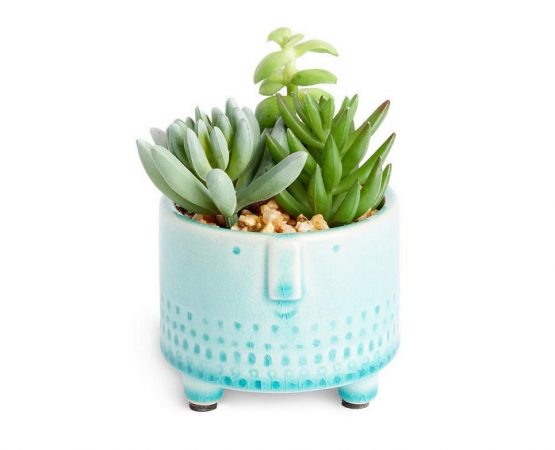 minimaceta mixta primark home