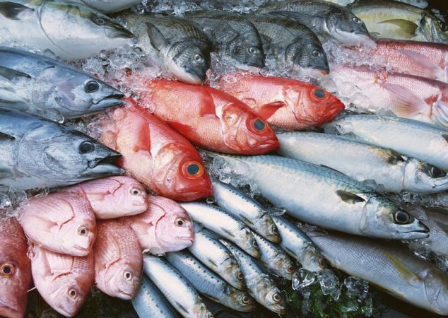 Pescado azul