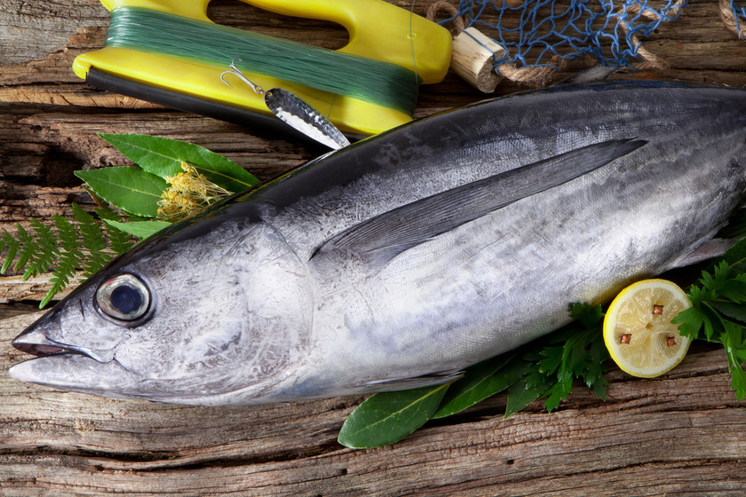 pescados llenos de proteinas