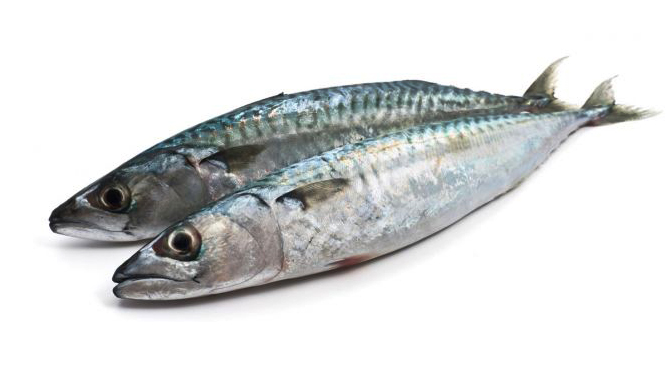jureles