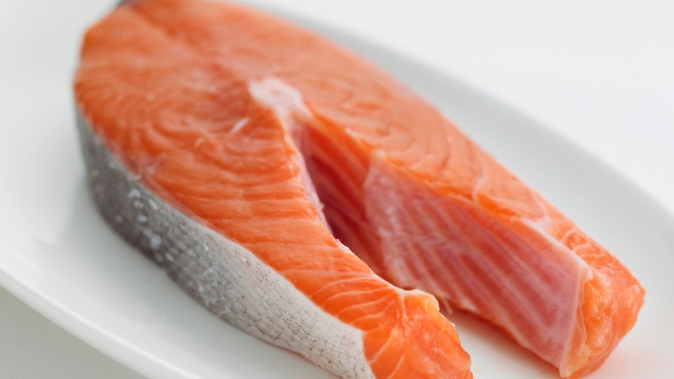 pescados llenos de proteinas y vitaminas