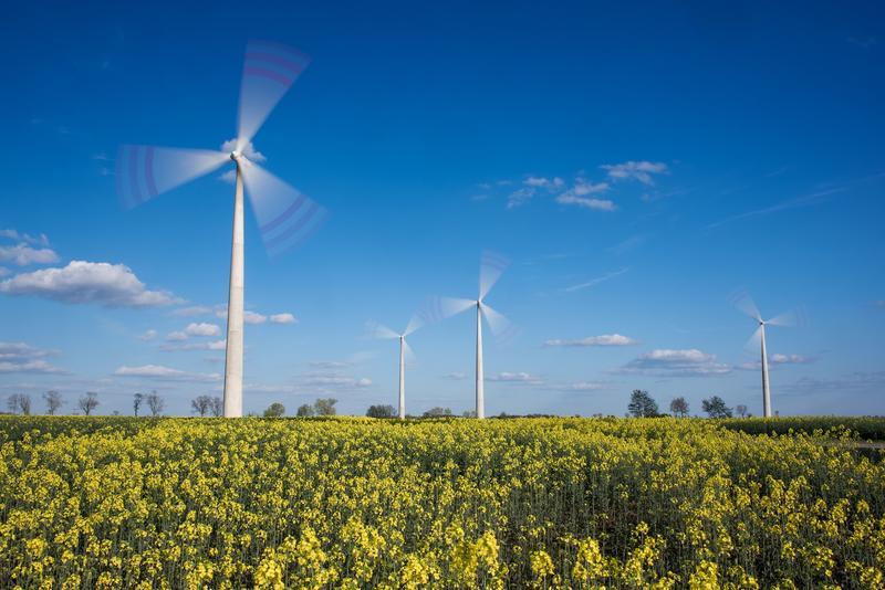 Acciona suministrará el 40% de toda la energía que necesita la red de Movistar en Chile