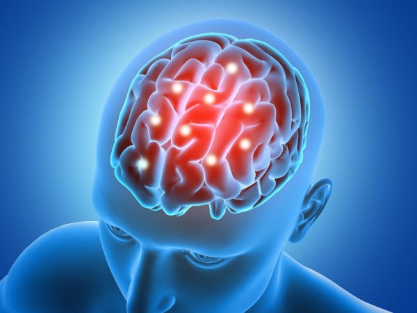Bueno para el cerebro chocolate