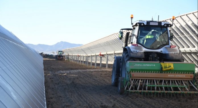 Endesa-agrivoltaica