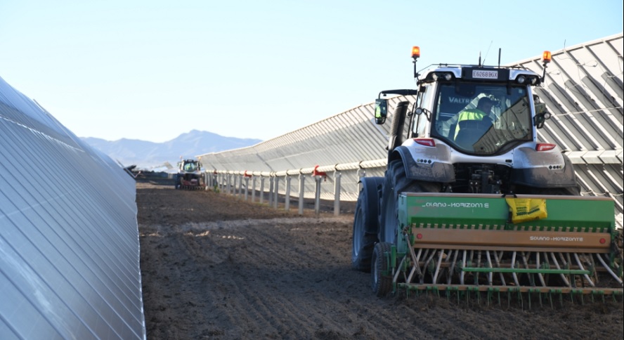 Endesa hibrida energía solar y sector primario gracias a la ‘agrivoltaica’