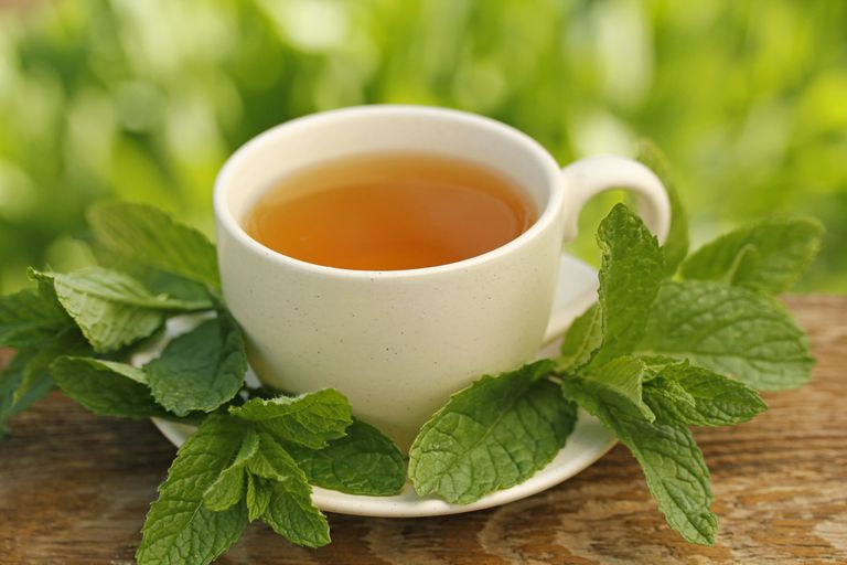 té, infusión 