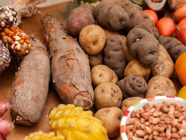 Los rabanitos, yucas y boniatos ¿Alimentos dañinos para la tiroides?
