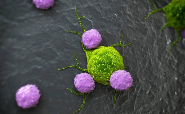 Lucha contra el cáncer