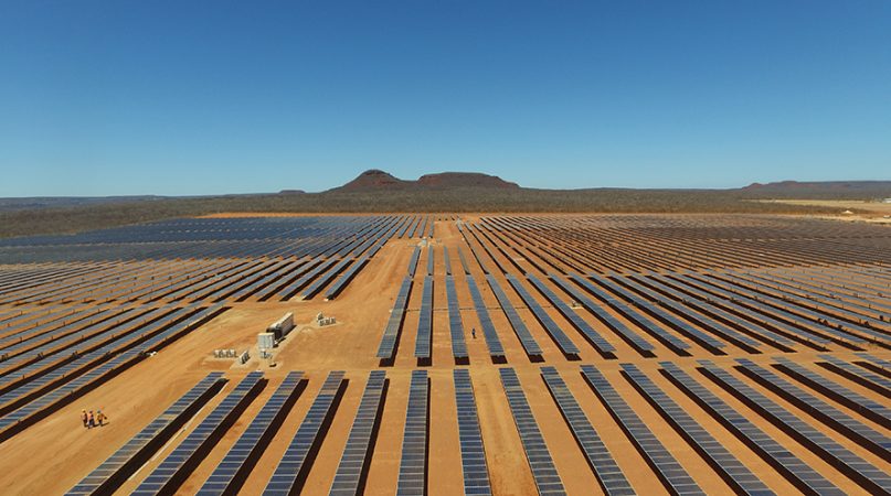 Planta Sertao en Brasil Merca2.es